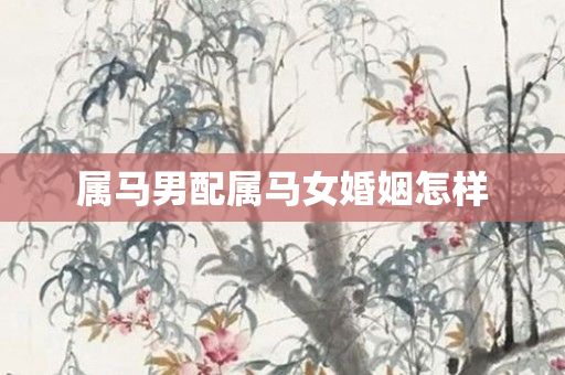 属马男配属马女婚姻怎样