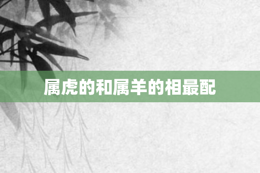 属虎的和属羊的相最配