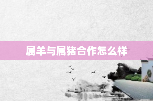 属羊与属猪合作怎么样