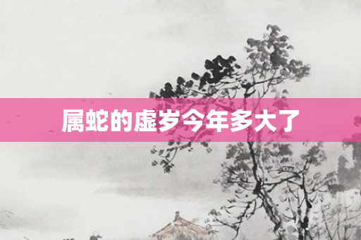 属蛇的虚岁今年多大了