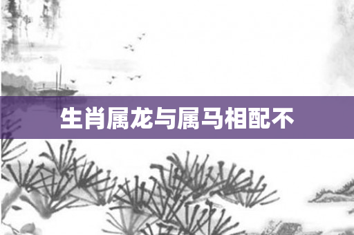 生肖属龙与属马相配不