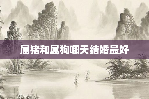 属猪和属狗哪天结婚更好