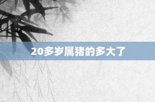 20多岁属猪的多大了