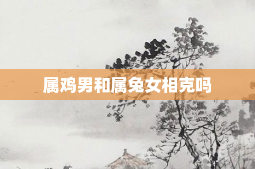 属鸡男和属兔女相克吗