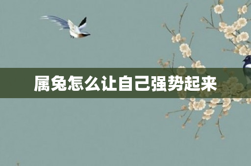 属兔怎么让自己强势起来