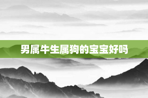 男属牛生属狗的宝宝好吗