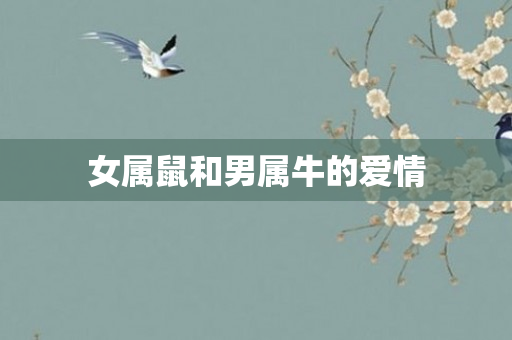 女属鼠和男属牛的爱情