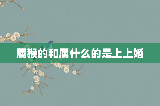 属猴的和属什么的是上上婚