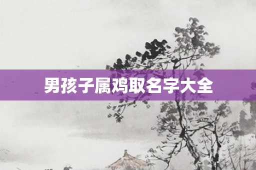 男孩子属鸡取名字大全