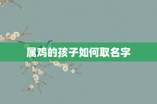 属鸡的孩子如何取名字