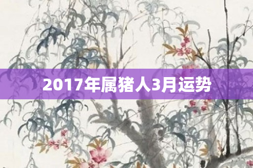 2017年属猪人3月运势