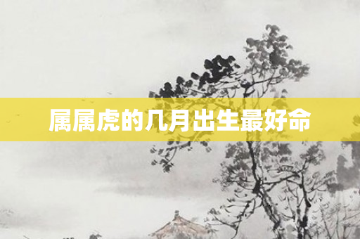 属属虎的几月出生更好命