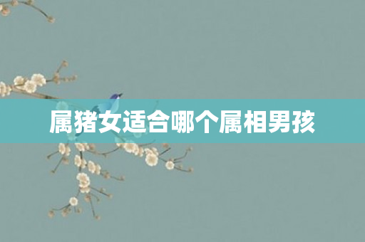 属猪女适合哪个属相男孩