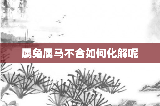 属兔属马不合如何化解呢