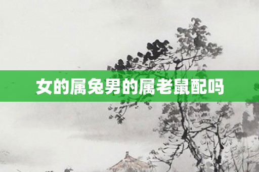 女的属兔男的属老鼠配吗