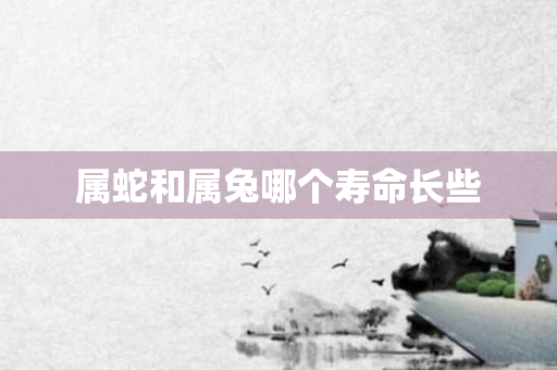 属蛇和属兔哪个寿命长些