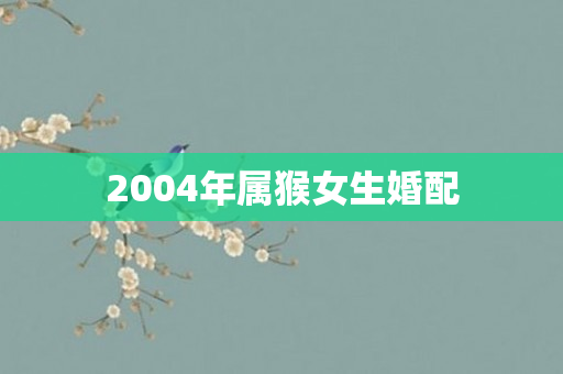 2004年属猴女生婚配