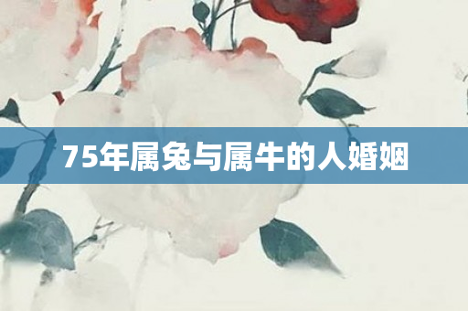 75年属兔与属牛的人婚姻