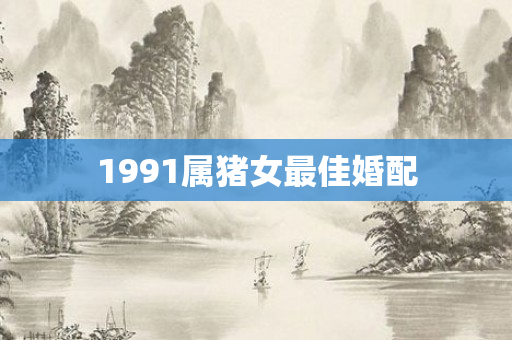 1991属猪女更佳婚配