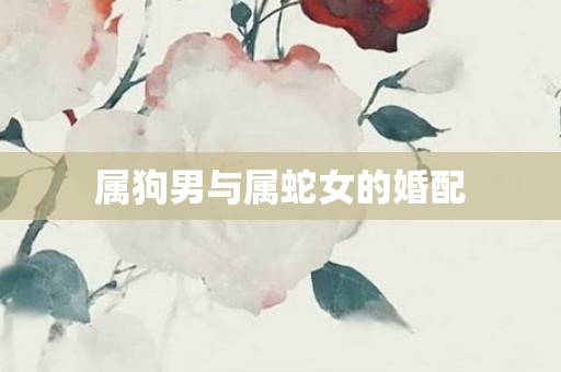 属狗男与属蛇女的婚配
