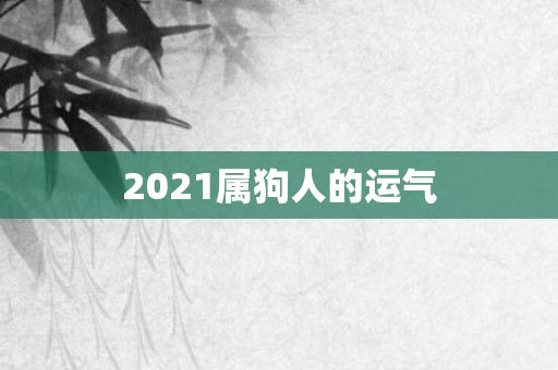 2021属狗人的运气