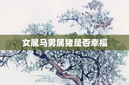 女属马男属猪是否幸福