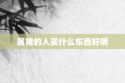属猪的人买什么东西好呢