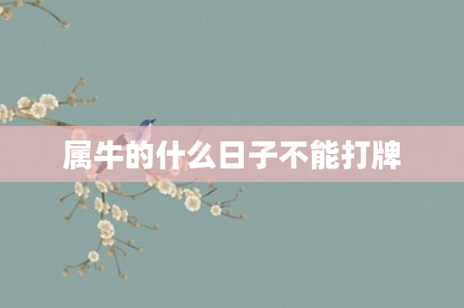 属牛的什么日子不能打牌