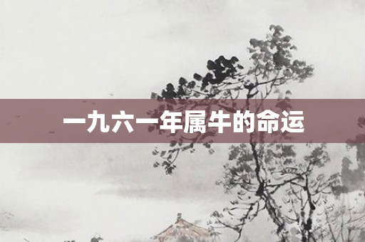 一九六一年属牛的命运