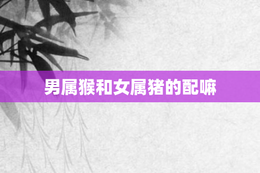 男属猴和女属猪的配嘛