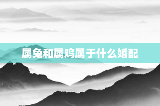 属兔和属鸡属于什么婚配