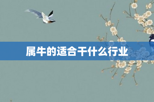 属牛的适合干什么行业
