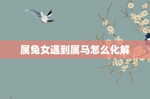 属兔女遇到属马怎么化解