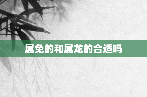 属免的和属龙的合适吗
