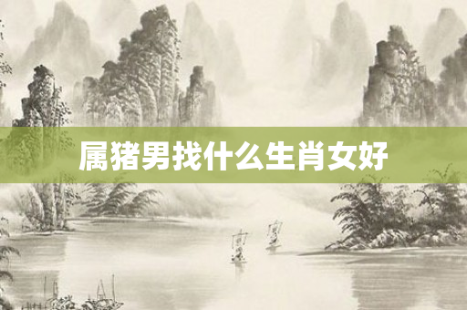 属猪男找什么生肖女好