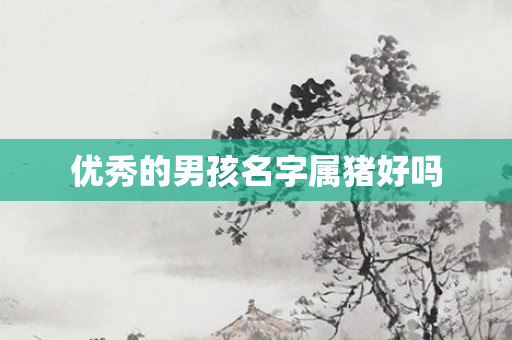 优秀的男孩名字属猪好吗