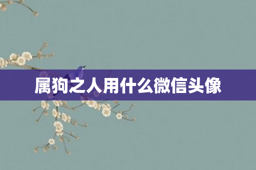 属狗之人用什么微信头像