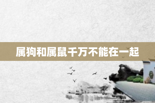 属狗和属鼠千万不能在一起