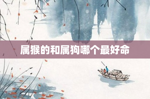 属猴的和属狗哪个更好命