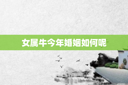 女属牛今年婚姻如何呢