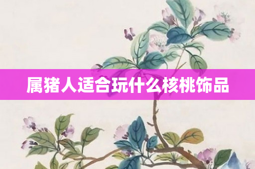 属猪人适合玩什么核桃饰品