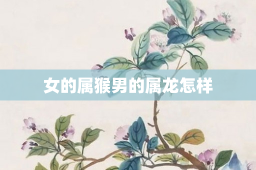 女的属猴男的属龙怎样