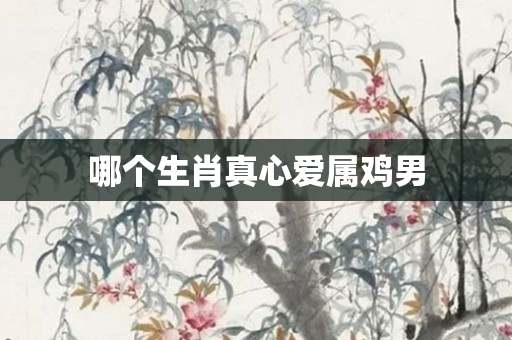 哪个生肖真心爱属鸡男