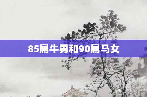 85属牛男和90属马女