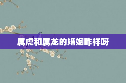 属虎和属龙的婚姻咋样呀