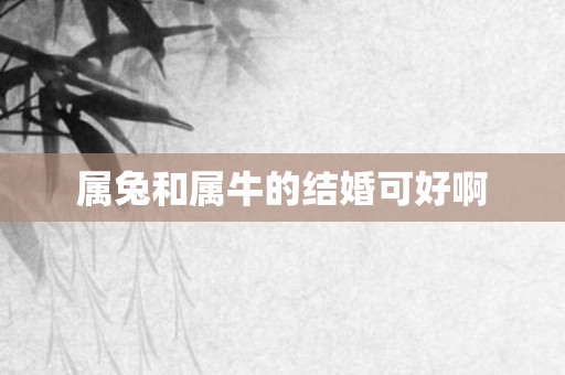 属兔和属牛的结婚可好啊
