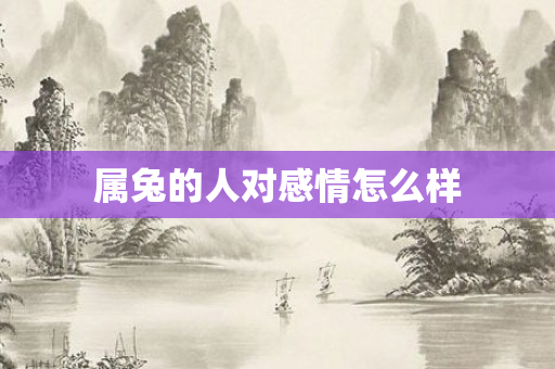 属兔的人对感情怎么样