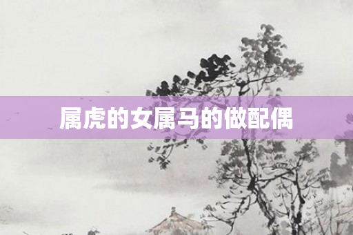 属虎的女属马的做配偶