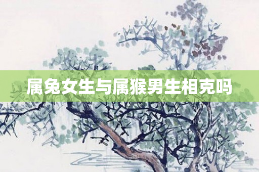 属兔女生与属猴男生相克吗