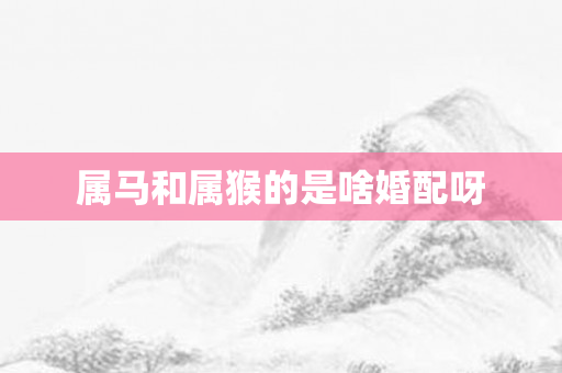 属马和属猴的是啥婚配呀
